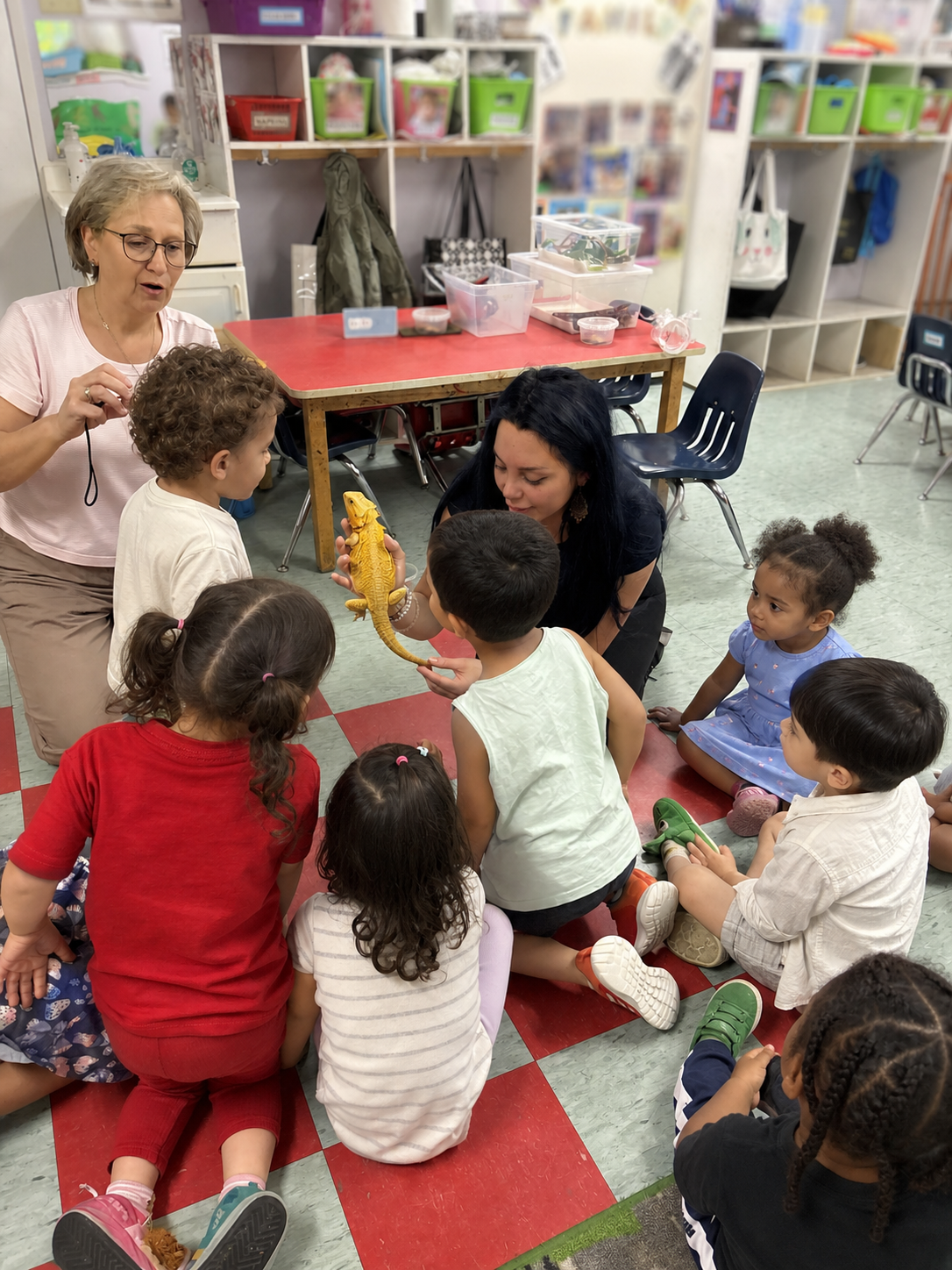 An educator showing a bearded dragon to a small classroom group